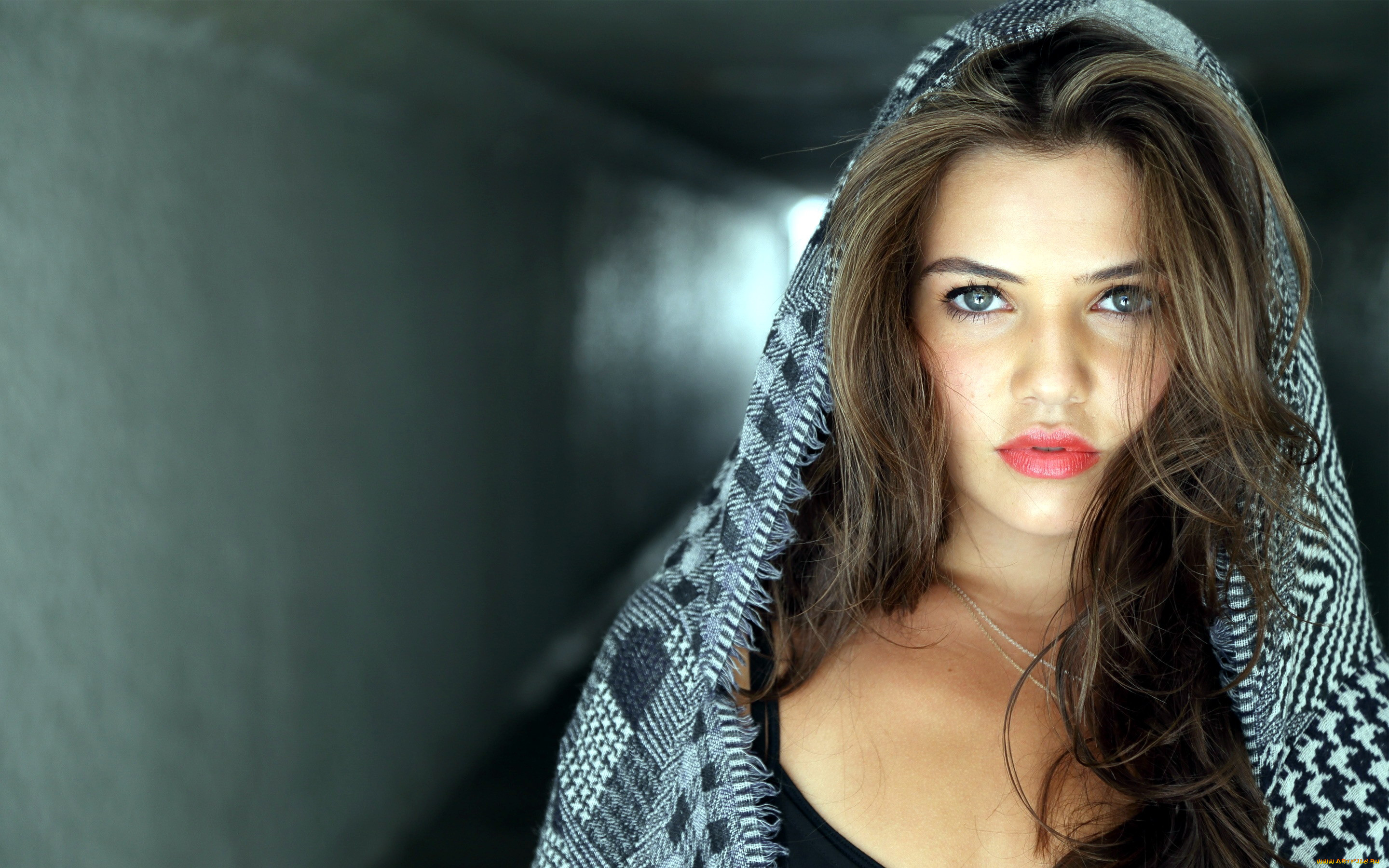 danielle campbell, , 